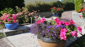 Un jardin agrémenté de différentes plantes et fleurs en pot.