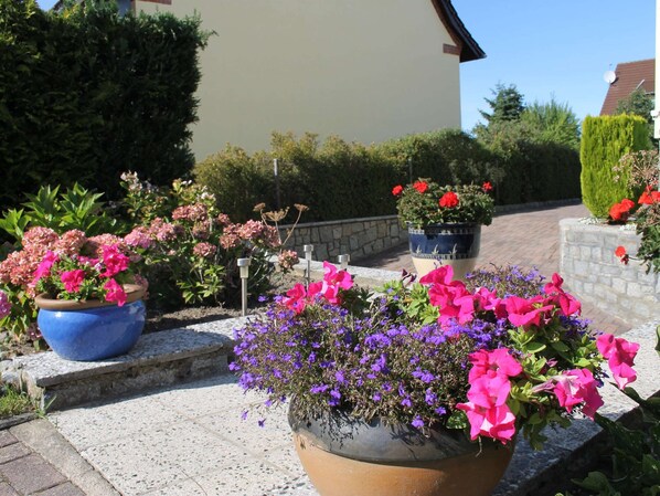 Un giardino con diverse piante e fiori in vaso.
