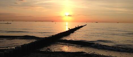 방갈로 | 숙박 시설의 전망