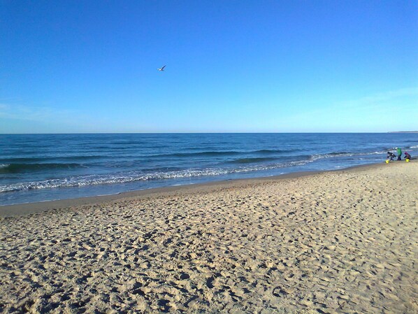 View from property - Bungalow in Alt Bukow Near the Beach (Alt Bukow)