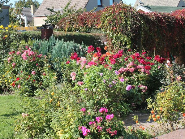 A garden with various flowering plants and a statue. - Ferienwohnung im Ostseebad Kuhlungsborn (Kuehlungsborn)