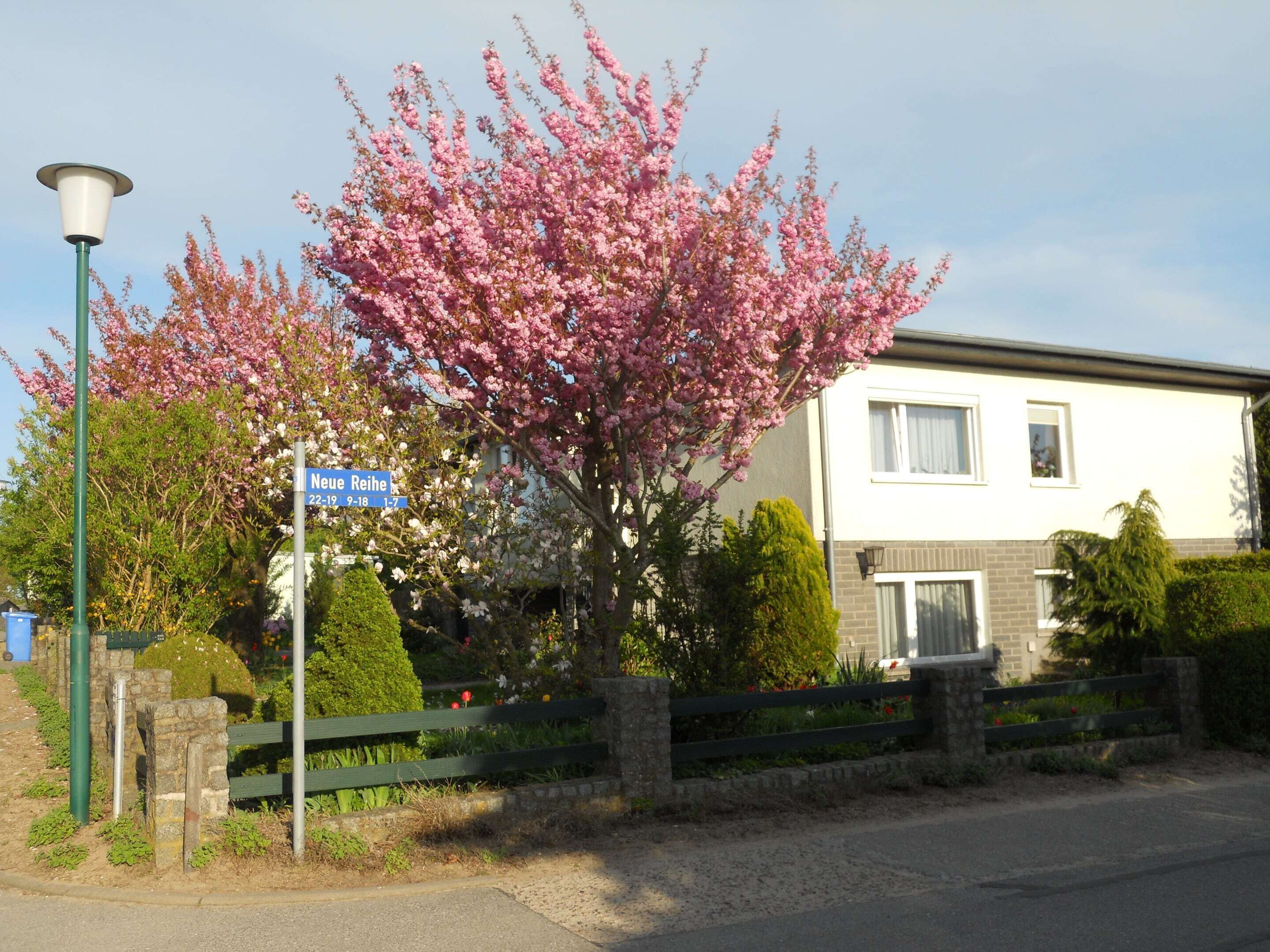 อพาร์ทเมนท์ | บริเวณภายนอก