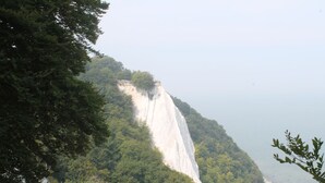 A coastal cliff with dense forest vegetation. - Wohnung an der Ostseekuste (Wendorf)