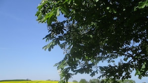 Ngoại thất