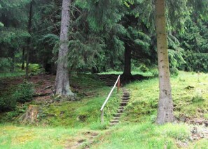 Ferienhaus | Blick von der Unterkunft