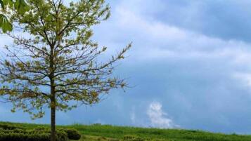 House | View from property