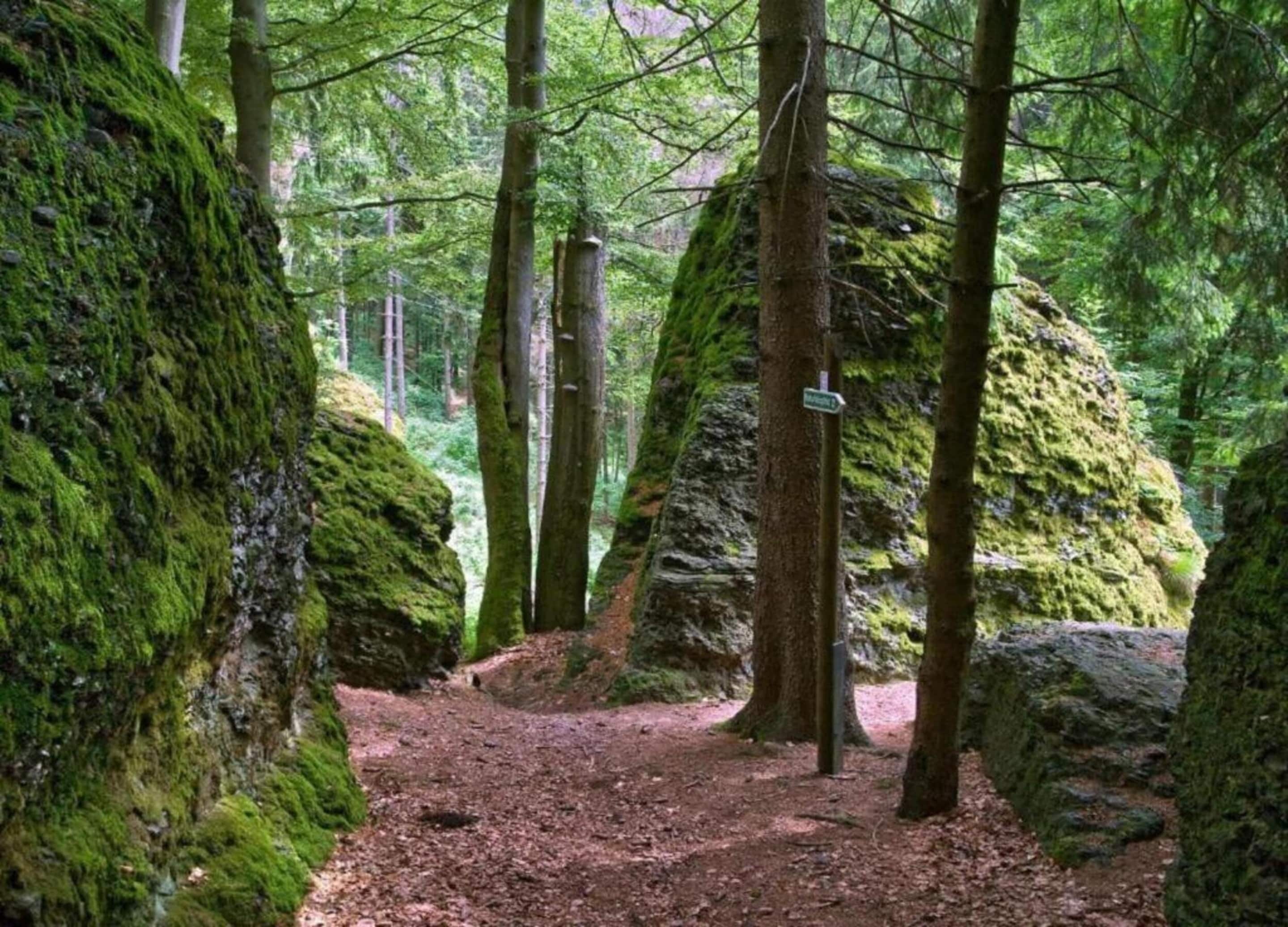 A forested area with a dirt path, large moss-covered rocks, and a signpost.