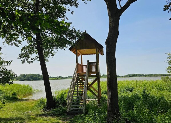 A wooden observation tower with a ladder, surrounded by trees and a lake. - Fabulous Holiday Home in Thorstorf near Sea (Warnow)