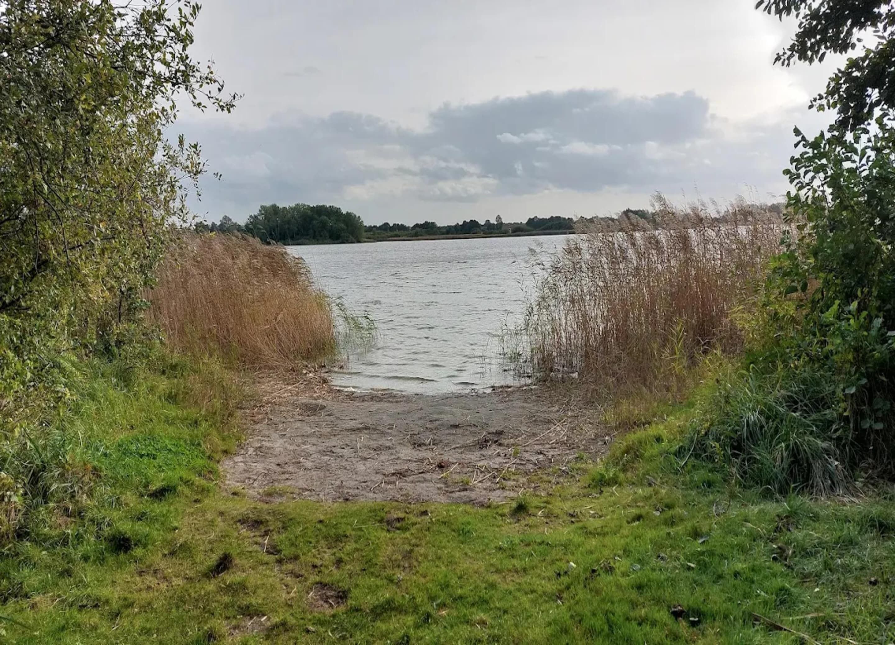 A natural landscape with a water body, surrounded by grass and reeds.