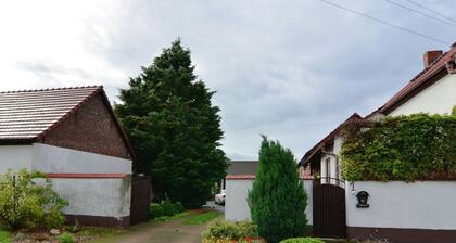 Quaint Holiday Home in Schenkendöbern on a Farm