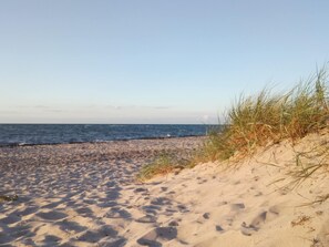 Een zandstrand met golven en schaarse begroeiing.
