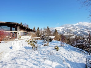 Exterior - Beautiful Holiday Home With Terrace (Hopfgarten im Brixental)