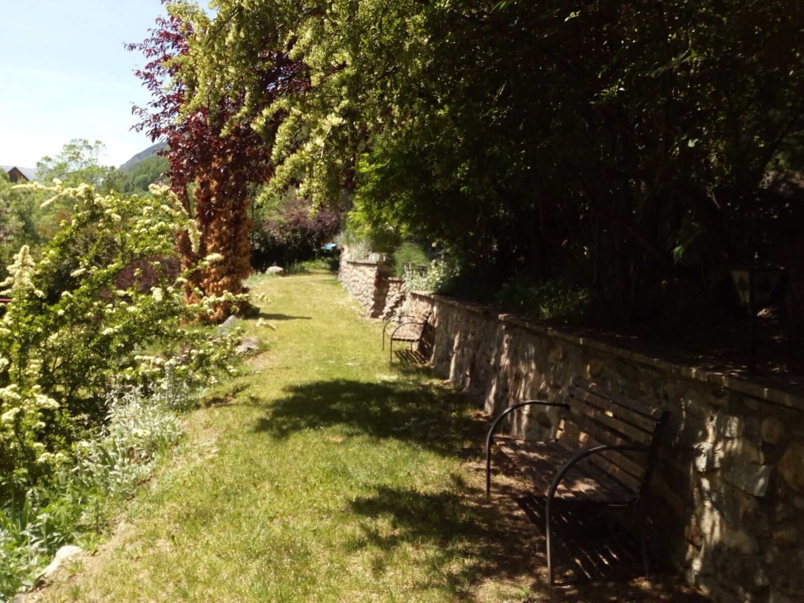 A stone pathway with a bench, surrounded by lush greenery and trees.