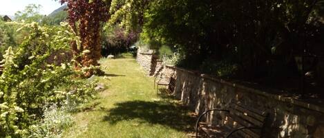 A stone pathway with a bench, surrounded by lush greenery and trees.