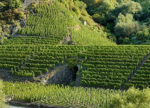 Apartment | View from property