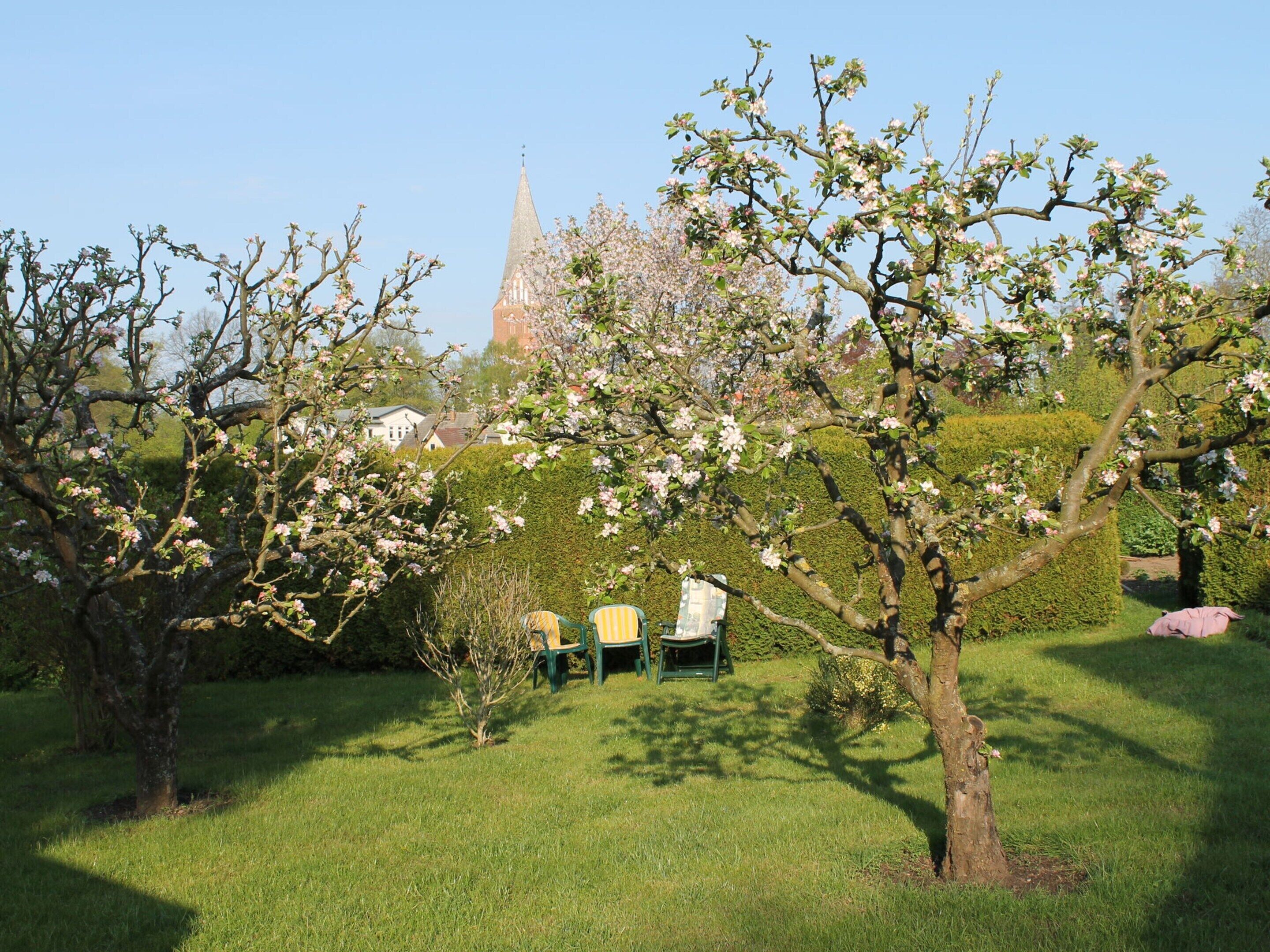 Un jardin avec des arbres en fleurs, le clocher d’une église en arrière-plan, et une table entourée de chaises.