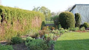 Un jardín cuidado con diversas plantas y flores, un seto bien recortado y un cobertizo pequeño.