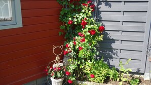 A red wooden wall with a white window, a yellow birdhouse, and a red rose bush. - Ferienwohnung im Ennerichtal (Runkel)