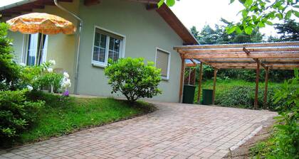 Cozy Holiday Home in Vogtland