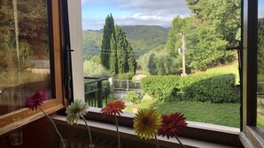A window with a view of a green landscape, including trees and a hill. - Modern Poolside Home in Pescia (Pescia)