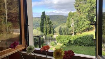 House | View from property