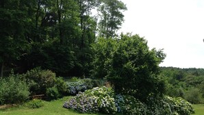 A garden with various flower beds and trees. - Modern Poolside Home in Pescia (Pescia)