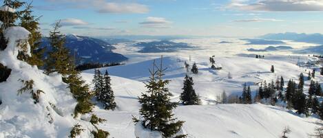 Hus | Utsikt fra overnattingsstedet