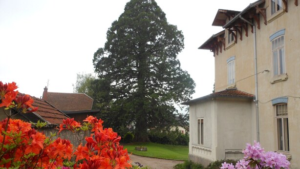 A building with a garden in front, a large tree, and a clear sky. - Mansion in Vecoux With Pool and Garden (Vecoux)