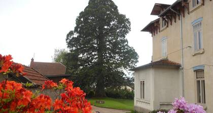 Mansion in Vecoux With Pool and Garden