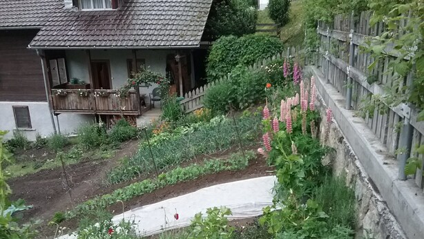 A residential property with a garden, a wooden fence, and a house with a tiled roof. - Charming Chalet Near Trails (Mörel-Filet)