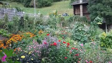 Chalet | Property grounds