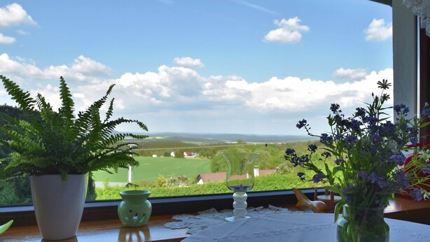 Vista da janela com uma mesa, um vaso de samambaia, um castiçal verde e um vaso com flores.