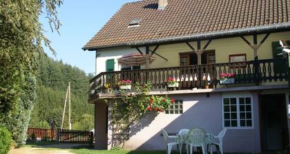 Comfortable Holiday Home With Fenced Garden in Lambach