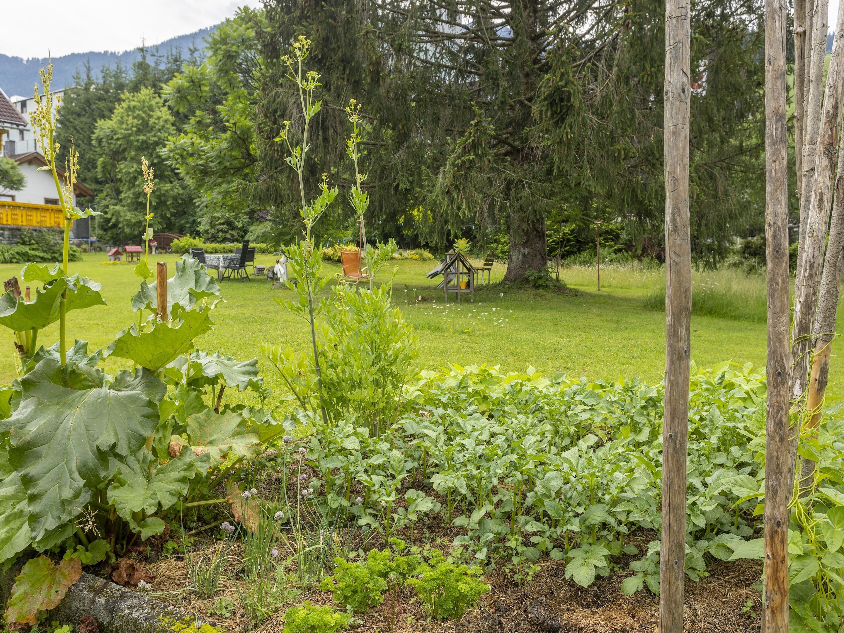 Appartement | Jardin