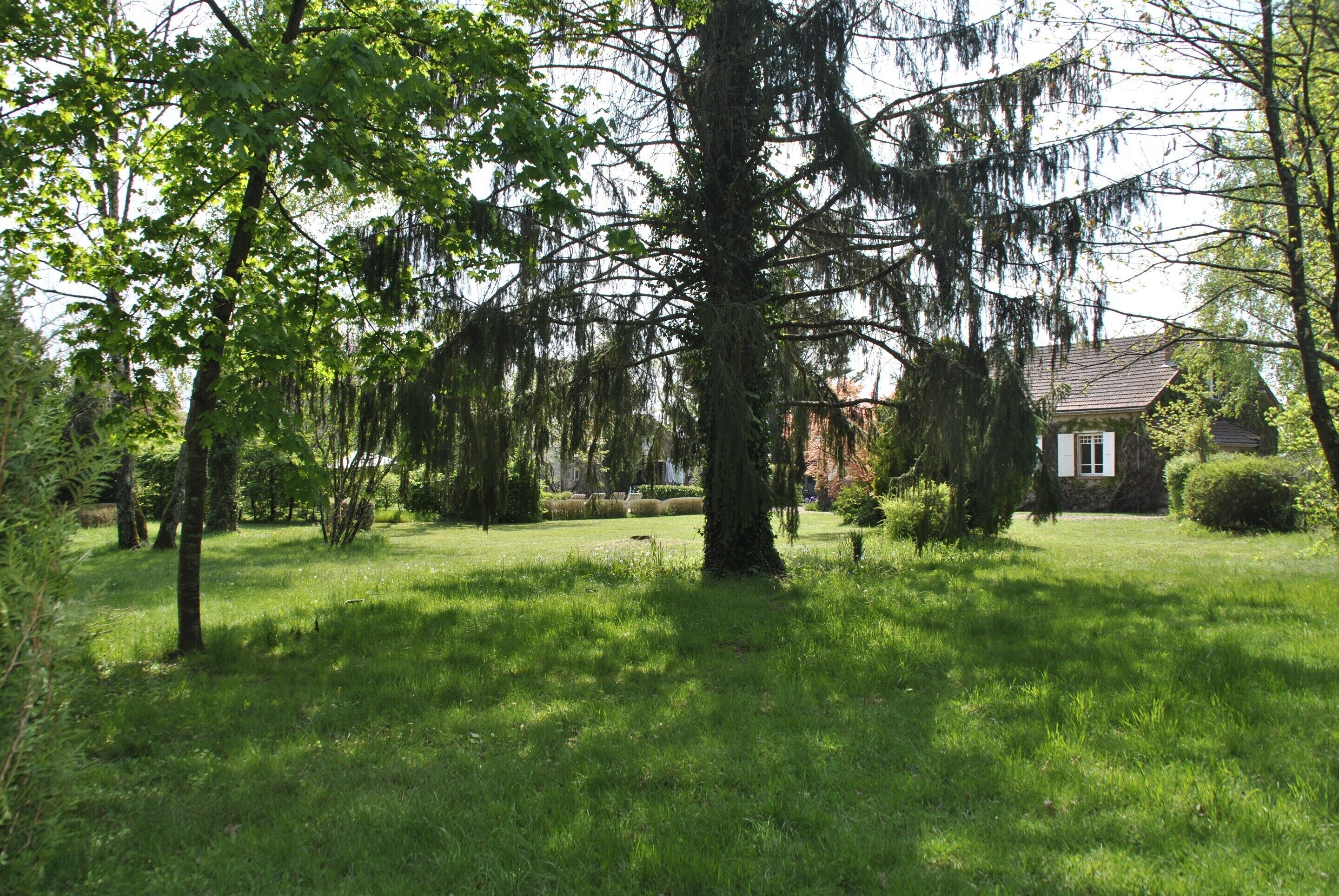 A lush green lawn with mature trees and a small building with a red roof.