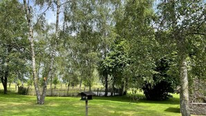 Un espace verdoyant avec une mangeoire à oiseaux, des arbres et un mur de pierres.