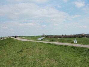 Exterior - Comfortable and Tasteful Holiday Home Near the Oosterschelde (Kattendijke)