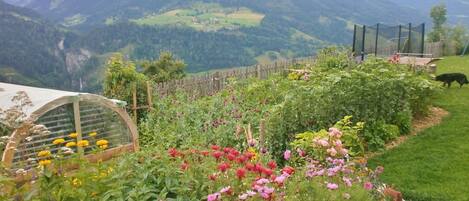 Huoneisto | Puutarha