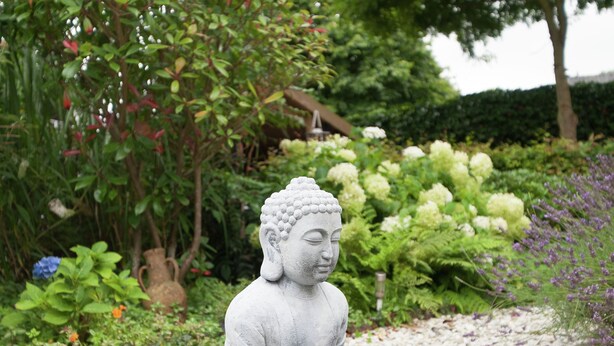 Nhà | Khuôn viên nơi lưu trú