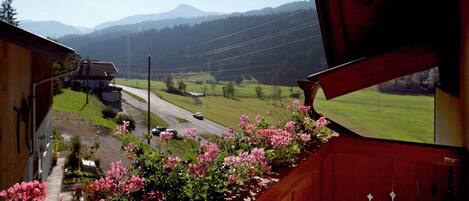 Apartment | Blick von der Unterkunft