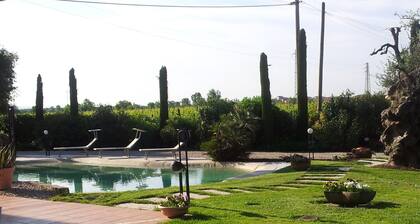 Premium Holiday Home in Monteforte With Pool