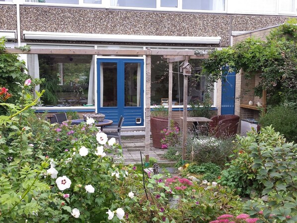 A garden with a blue door, outdoor seating, and various plants.