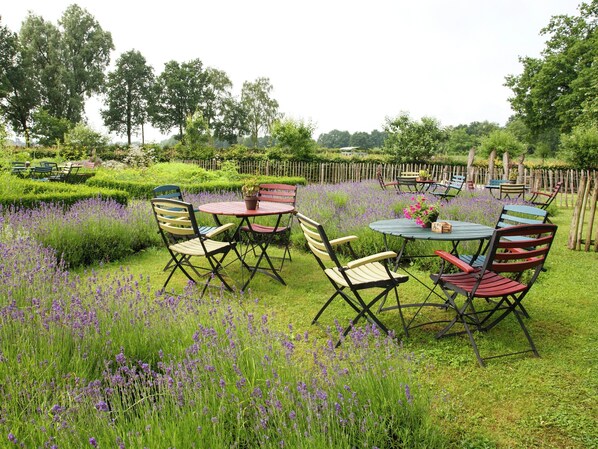 บ้านพัก | สวน