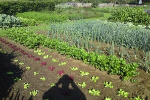 Hus | Utsikt fra overnattingsstedet