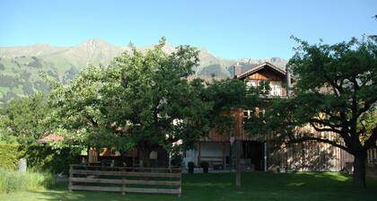 Apartment in Frutigen With Garden, Terrace
