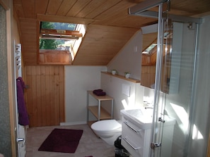 Apartment | Bathroom - Apartment in Frutigen With Garden, Terrace (Frutigen)