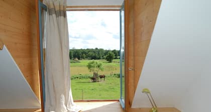 Lovely Mansion With Fenced Garden