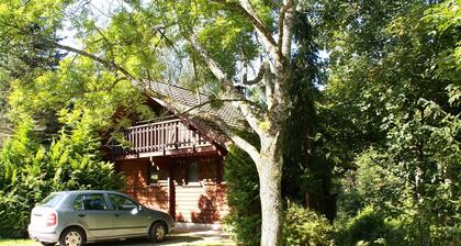Quaint Chalet in La Bresse With Garden