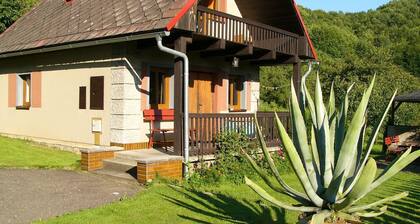 Detached House With Pool in the Garden, on the Bank of the River