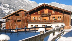 Exterior - Spacious Apartment in Tyrol With Mountain View (Ramsau im Zillertal)